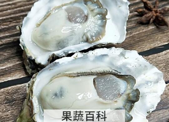 牡蛎和生蚝的区别 吃牡蛎的好处