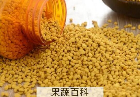 油菜花粉怎样吃最有效 油菜花粉吃法技巧