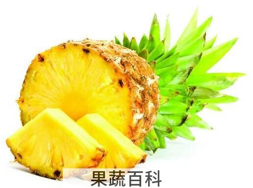 饭后吃什么水果好 猕猴桃能让你加速“脂肪燃烧”