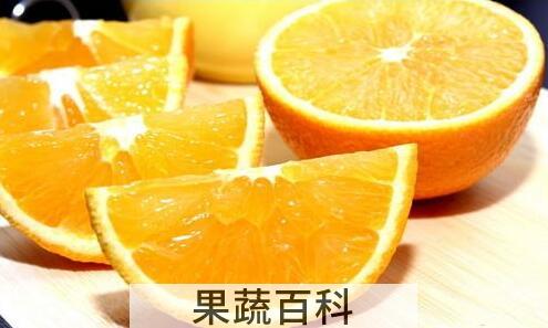饭后吃什么水果好 猕猴桃能让你加速“脂肪燃烧”