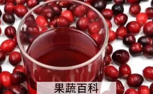 蔓越莓果汁的功效与作用及危害