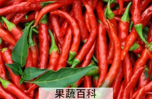 男人吃辣椒的坏处