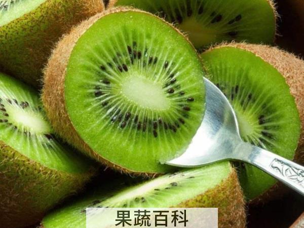 性价比超高 什么水果耐放又减肥
