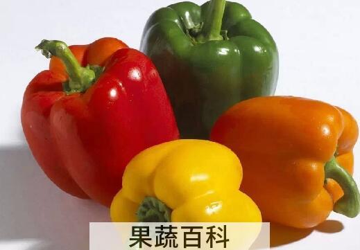 灯笼辣椒怎么吃 灯笼辣椒的食用方法