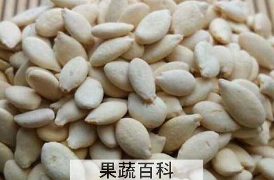 冬瓜子的禁忌与副作用