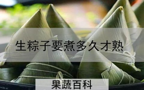 生粽子要煮多久才熟