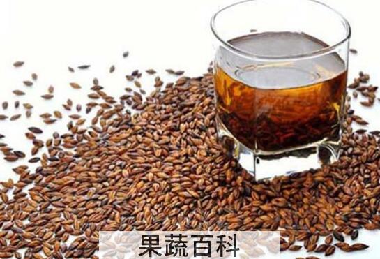 大麦茶的功效与作用 大麦茶怎么喝好