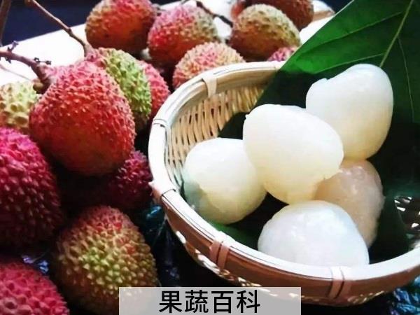 食物相克后果严重 榴莲不能喝什么一起吃