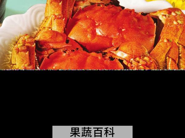 食物相克后果严重 榴莲不能喝什么一起吃