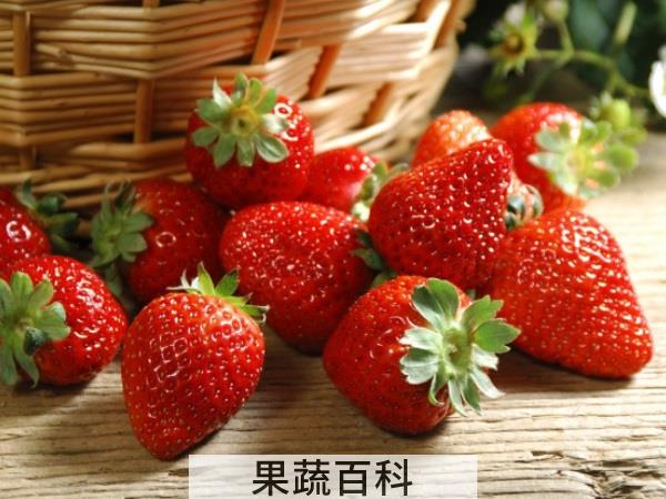 考取理想院校必备 高考吃什么水果好