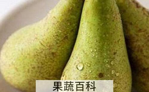 啤梨怎么吃 啤梨什么时候吃最好