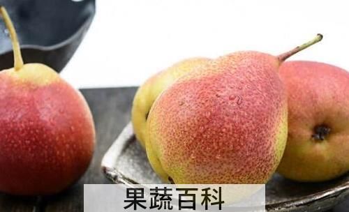啤梨怎么吃 啤梨什么时候吃最好
