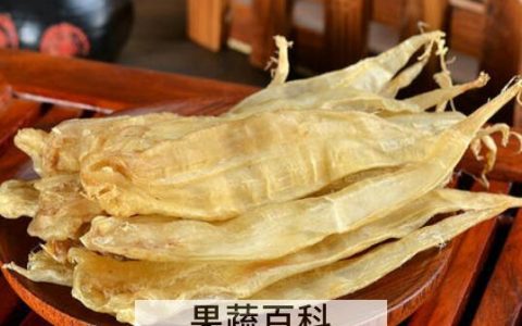 白花胶的功效与作用 白花胶的食用方法