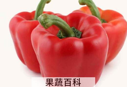 红甜椒的功效与作用禁忌