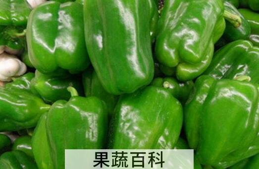 青圆椒的功效与作用禁忌
