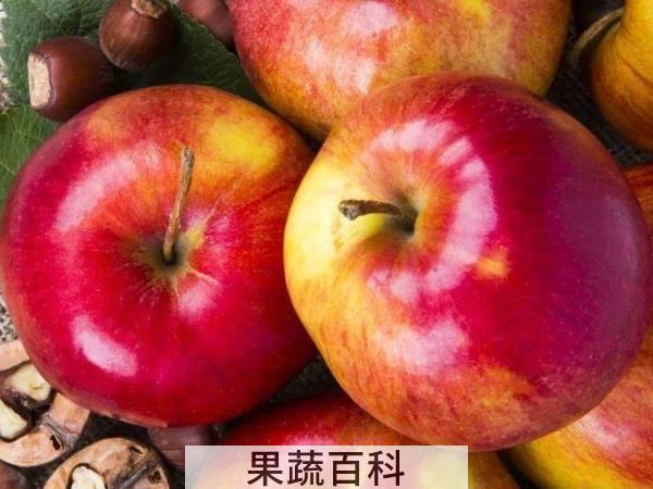 让宝宝茁壮成长好妈妈必备 喂奶可以吃什么水果