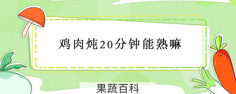 鸡肉炖20分钟能熟嘛