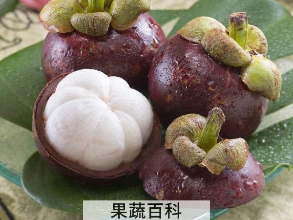 十年方开花结果 山竹有什么功效及作用