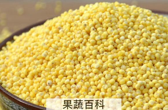 糯小米和粘小米的功效与作用	
