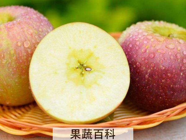 影响肠胃及睡眠 晚上睡前吃苹果好不好