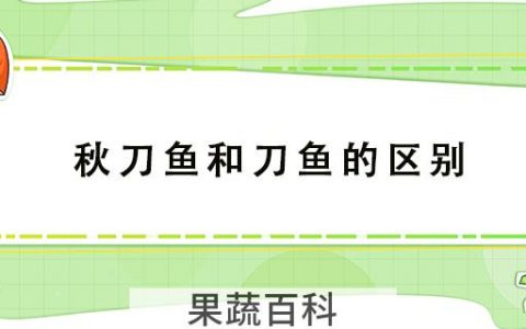 秋刀鱼和刀鱼的区别