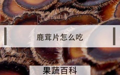 鹿茸片怎么吃