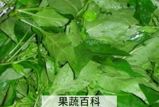 吃辣椒叶的好处有哪些