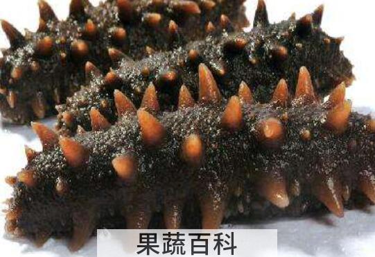 参皮和海参的区别 吃参皮的好处