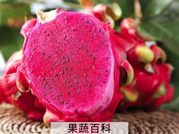 延缓衰老淡斑美白 吃火龙果的好处和坏处