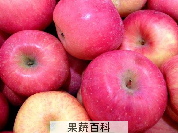 带你见识水果之王 苹果的营养价值