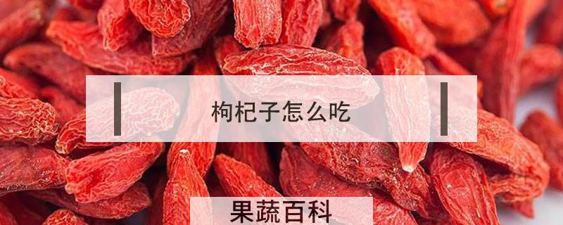枸杞子怎么吃