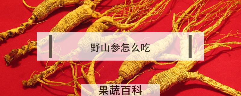 野山参怎么吃