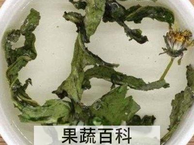 婆婆丁泡水喝的功效与作用 