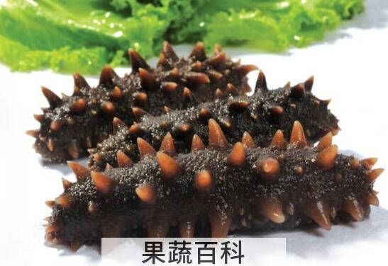 如何水发干海参