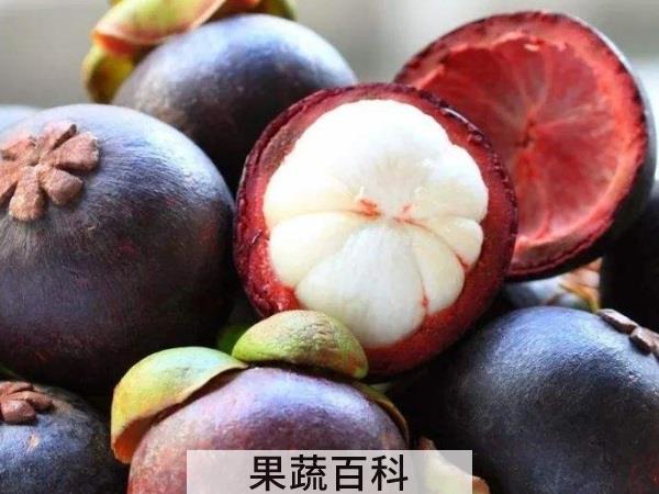 滋补调养清热润燥 吃山竹的好处