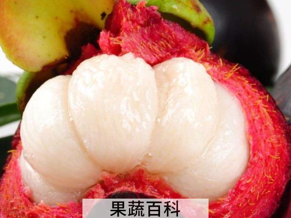 滋补调养清热润燥 吃山竹的好处