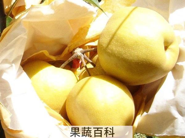 爱护女生人人有责 经期不能吃的水果有哪些