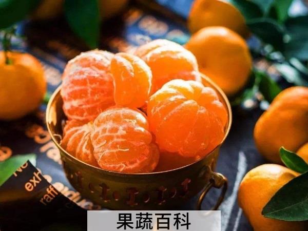 还想再活五百年 最强水果养生榜