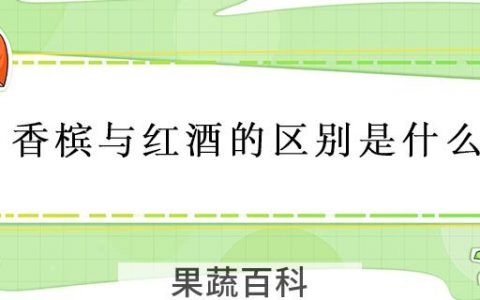 香槟与红酒的区别是什么