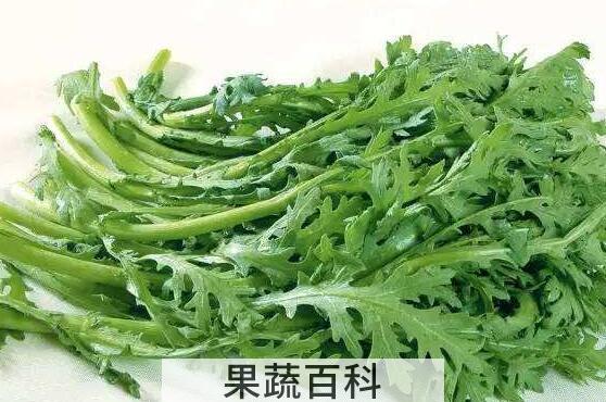 茼蒿菜的作用与功效及禁忌
