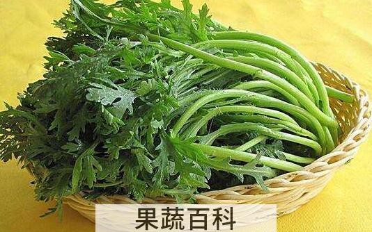 茼蒿菜的作用与功效及禁忌