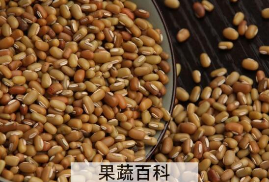 竹豆怎么吃比较好 竹豆的食用方法
