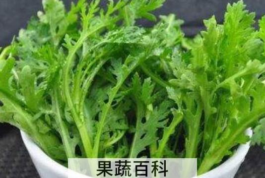女人吃茼蒿有什么好处
