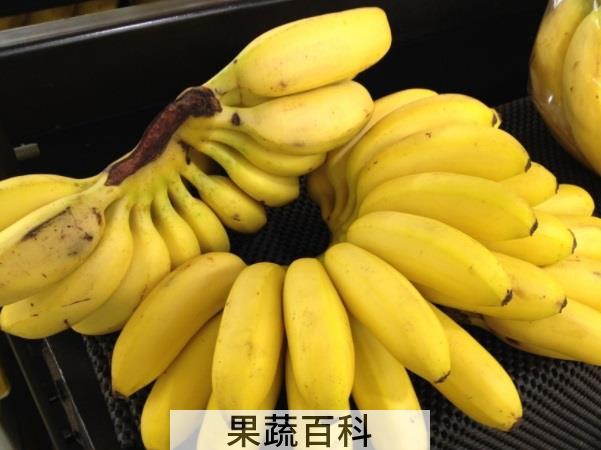 便秘者的通便宝典，香蕉什么时候吃通便效果好