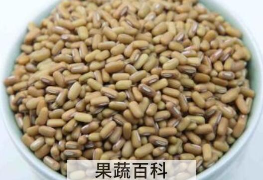 竹豆与绿豆的区别