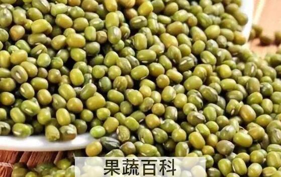 竹豆与绿豆的区别