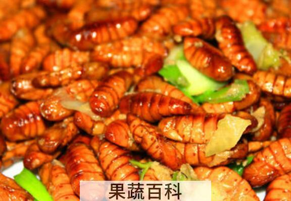 每天吃5个蚕蛹的好处