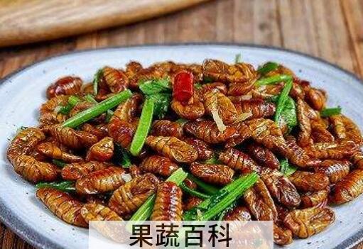 每天吃5个蚕蛹的好处