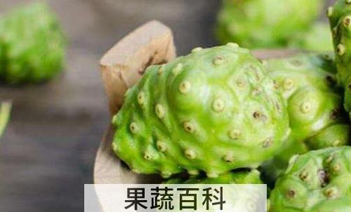 诺丽果的功效与作用及副作用