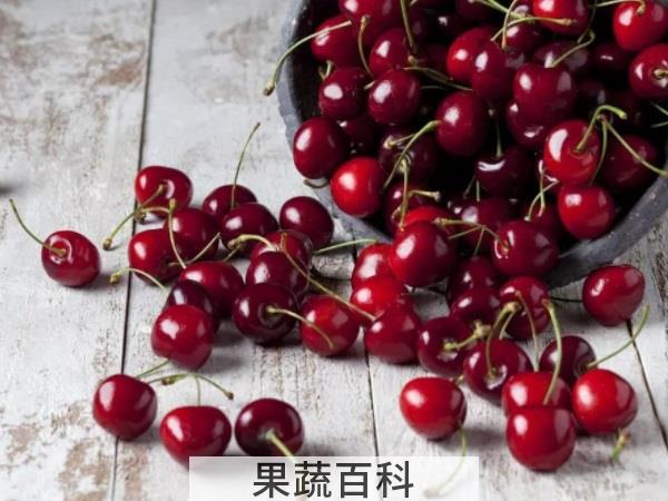 贫血常备水果 樱桃可以补血吗